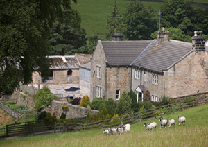 bed and breakfast yorkshire