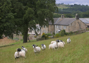 Accommodatio Scaife Hall Farm