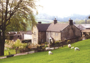 bed and breakfast yorkshire